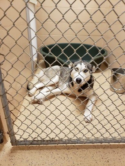 Pest Control Services by Brownsville Animal Regulation And Care Center in Brownsville