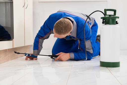 Brush Country Pest Services, Pest Control company in Pleasanton Pest Control Services by Brush Country Pest Services in Pleasanton, Texas