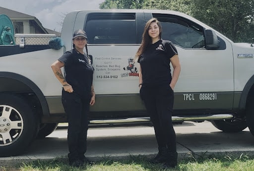 Pest Control Services by Bug Bandit in Kyle