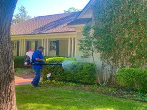 Pest Control Services by Bug Guys Pest Control in San Angelo