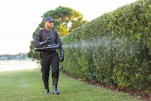Pest Control Services by Bug Out in Amarillo