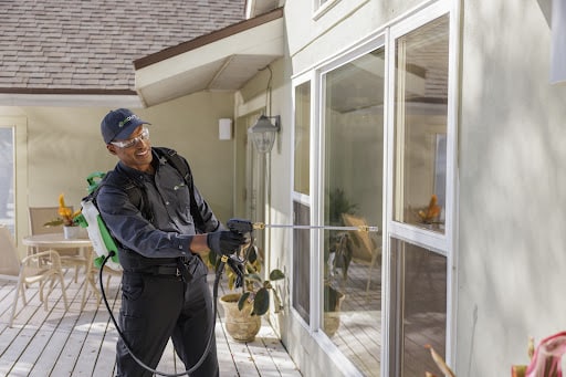 Pest Control Services by Bug Out in Lubbock