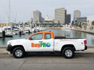 Pest Control Services by BugPro Inc in Alice