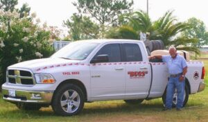 Pest Control Services by Bugs Incorporated in Katy