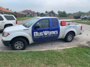 Pest Control Services by Bugworks Termite & Pest Control Company in McAllen