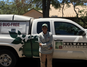 Pest Control Services by Bulwark Exterminating in Schertz