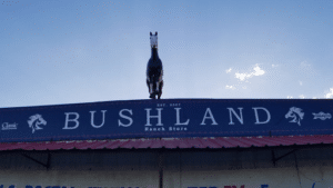 Pest Control Services by Bushland Ranch Store