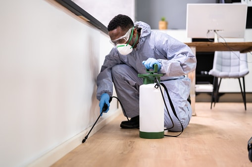 CEOS Pest Control Services, Pest Control company in Midland Pest Control Services by CEOS Pest Control Services in Midland, Texas