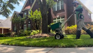 Pest Control Services by CLS Lawn & Pest in Conroe