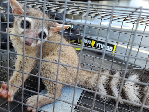 Pest Control Services by Care Pest Pros in Spicewood, Texas