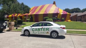Pest Control Services by Carter Pest in Waxahachie