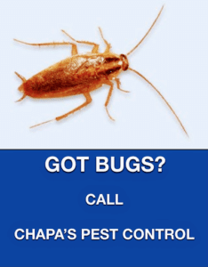 Pest Control Services by Chapa'S Pest Control in Alice