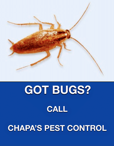 Pest Control Services by Chapa'S Pest Control in Alice