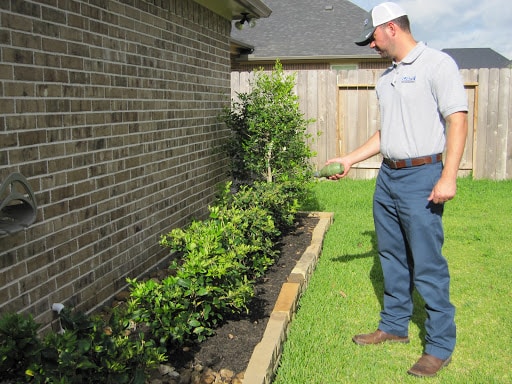 Pest Control Services by Coastal Pest Management in Cypress, Texas