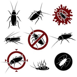 Pest Control Services by Combat Pest Control in Amarillo