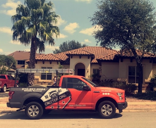 Pest Control Services by Critter One Of Alamo Heights in San Antonio, Texas