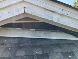 Pest Control Services by Critter Stop Dallas in Dallas