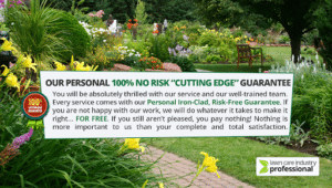 Pest Control Services by Cutting Edge Lawn Care in Austin