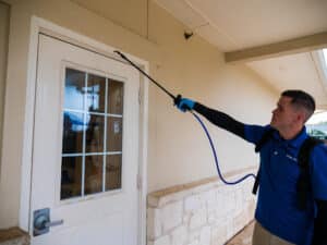 Pest Control Services by DFX Environmental in Spring Branch