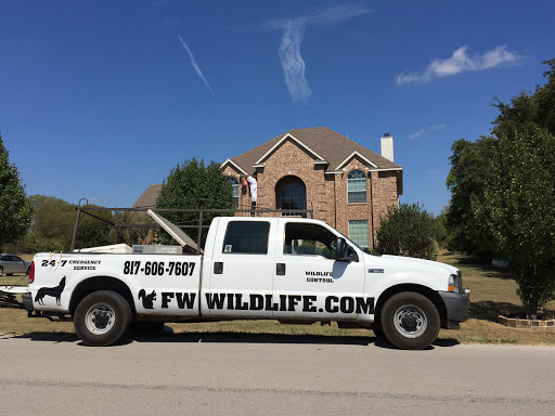 Pest Control Services by Dallas Fort Worth Wildlife Control in Bedford