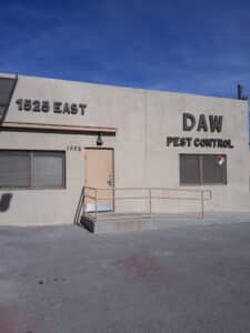 Pest Control Services by Daw & Pest Control in El Paso