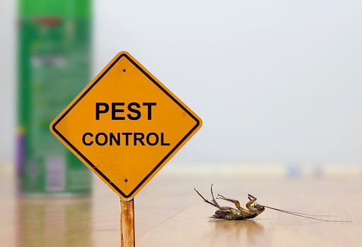 Pest Control Services by Deep Pest Control Services Inc. in Garland, Texas