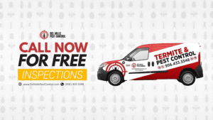 Pest Control Services by Del Valle Termite & Pest Control in McAllen
