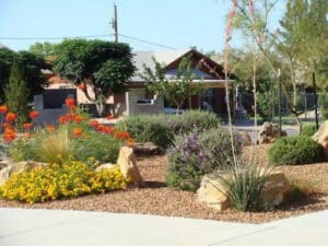 Pest Control Services by Delta Pest Control & Lawn Service in El Paso
