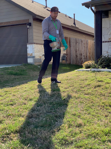 Pest Control Services by Domain Pest Control in Kyle