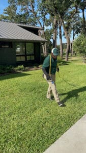 Pest Control Services by Dr. Green Services in Carrollton