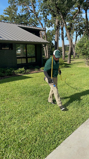 Pest Control Services by Dr. Green Services in Carrollton