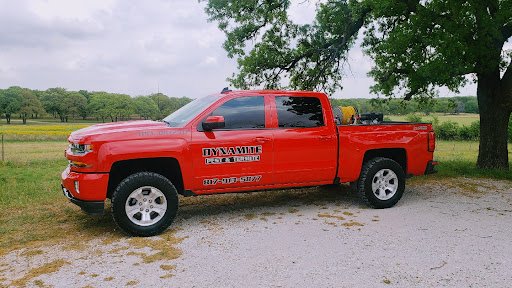 Dynamite Pest & Termite, Pest Control company in Boyd Pest Control Services by Dynamite Pest & Termite in Boyd, Texas