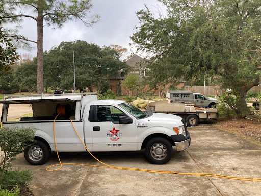 Pest Control Services by Eco Pest in Webster