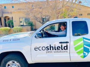 Pest Control Services by Ecoshield Pest Solutions in Fort Worth