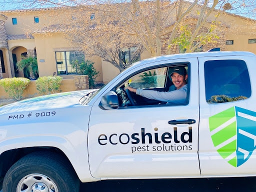 Pest Control Services by Ecoshield Pest Solutions in Fort Worth