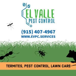 Pest Control Services by El Valle Pest Control in El Paso