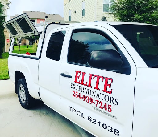 Pest Control Services by Elite Exterminators in Belton, Texas