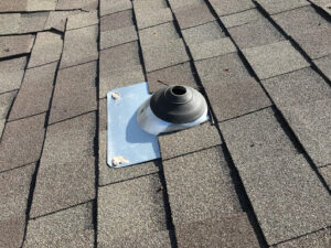 Pest Control Services by Ensure Home Inspection San Antonio in San Antonio