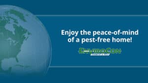 Pest Control Services by Envirocon Pest Control in Tomball