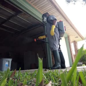 Pest Control Services by Exclusive Sanitation And Pest Control Services in Houston