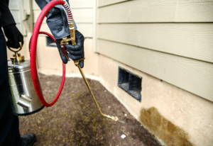 Pest Control Services by Farmers Exterminators in Corsicana