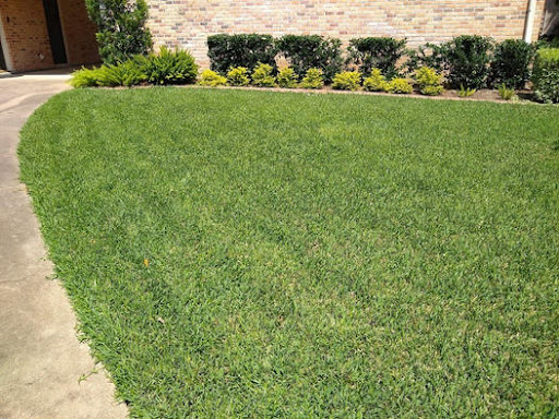 Pest Control Services by Fertig Fertilizing in Brookshire, Texas