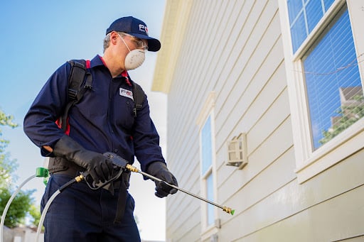 Pest Control Services by Fox Pest Control in Brownsville