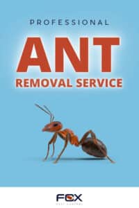 Pest Control Services by Fox Pest Control Midland in Odessa