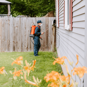 Pest Control Services by Fox Pest Control Southlake in Southlake