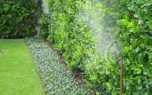 Pest Control Services by Gary'S Services Inc in Prosper