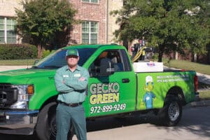 Pest Control Services by Gecko Green Lawn Care & Pest Control in The Colony