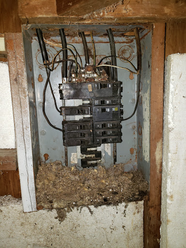 Geese Management Services, Llc, Pest Control company in Fort Worth Pest Control Services by Geese Management Services, Llc in Fort Worth, Texas
