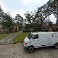 Pest Control Services by Getcha Pest Control in Houston, Texas