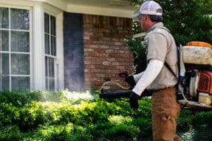 Pest Control Services by Gga Pest Management in Waco